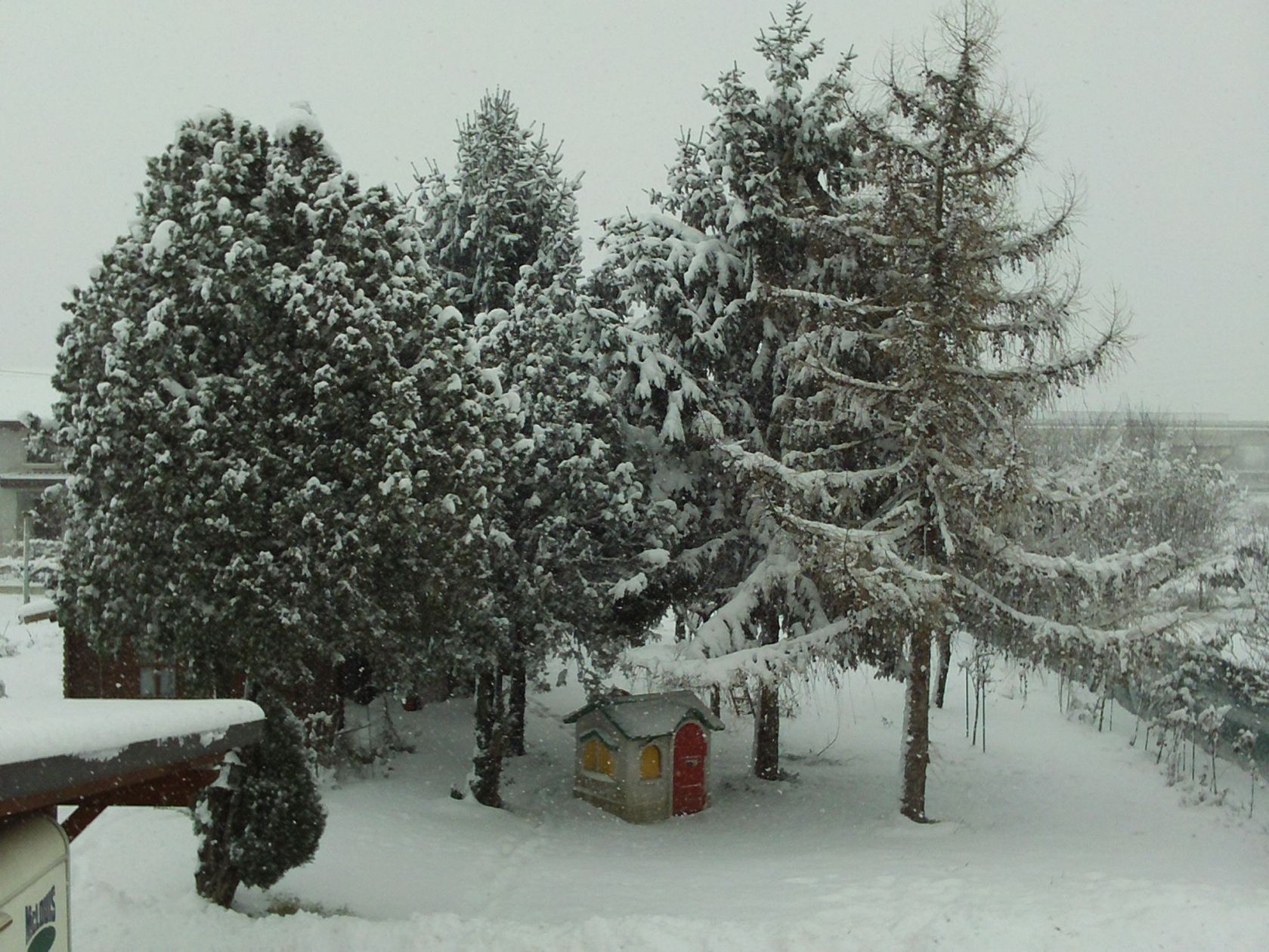 Nevicata 19-12-2009
